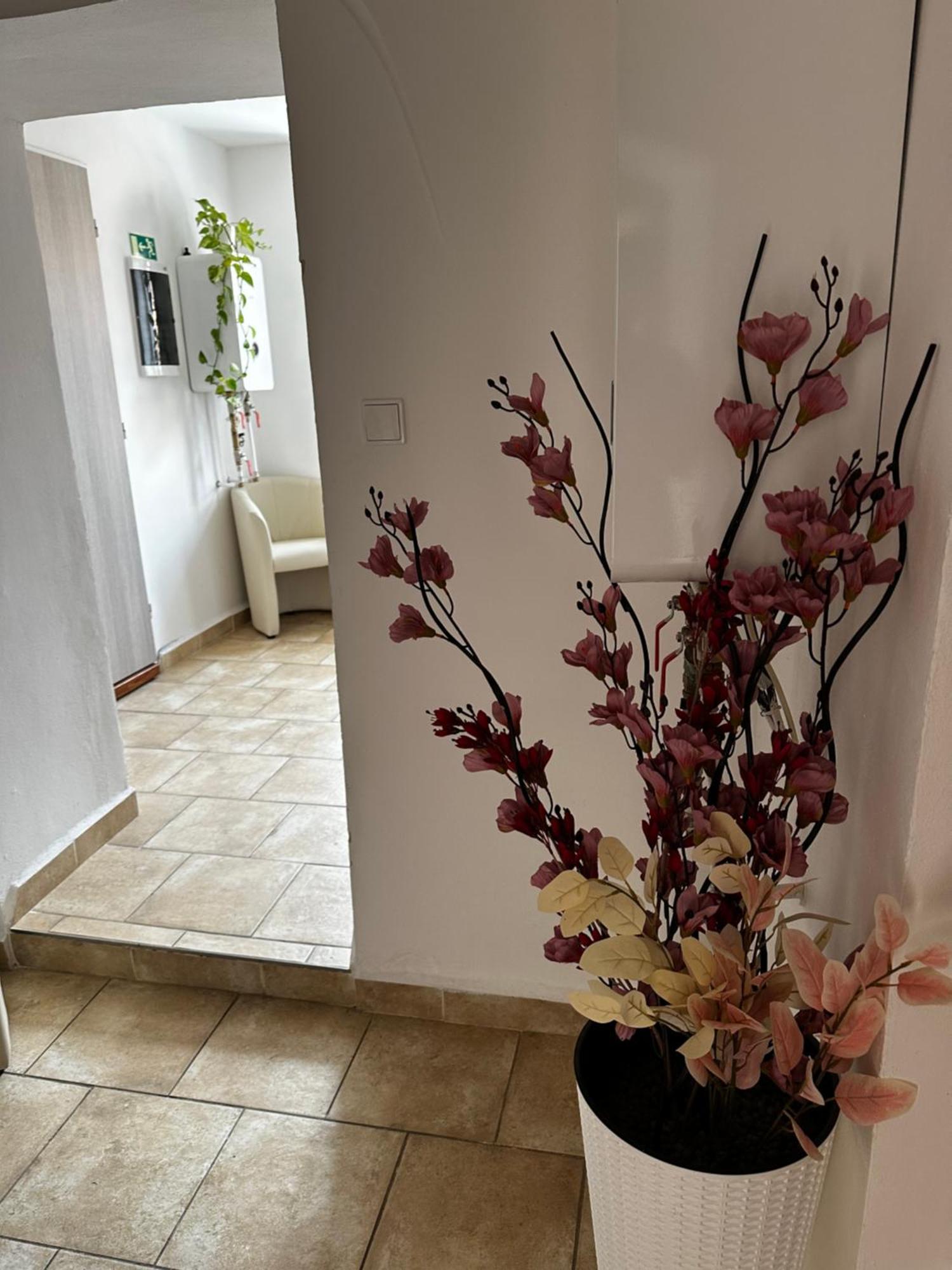 Sg Apartmanovy Dum Горжице Экстерьер фото